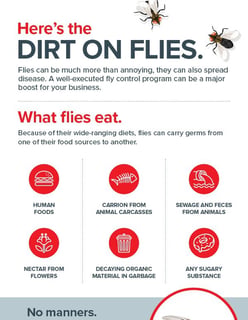 Crop_Fly Infographic-Rentokil National Accounts Crop_Fly Infographic-Rentokil National Accounts