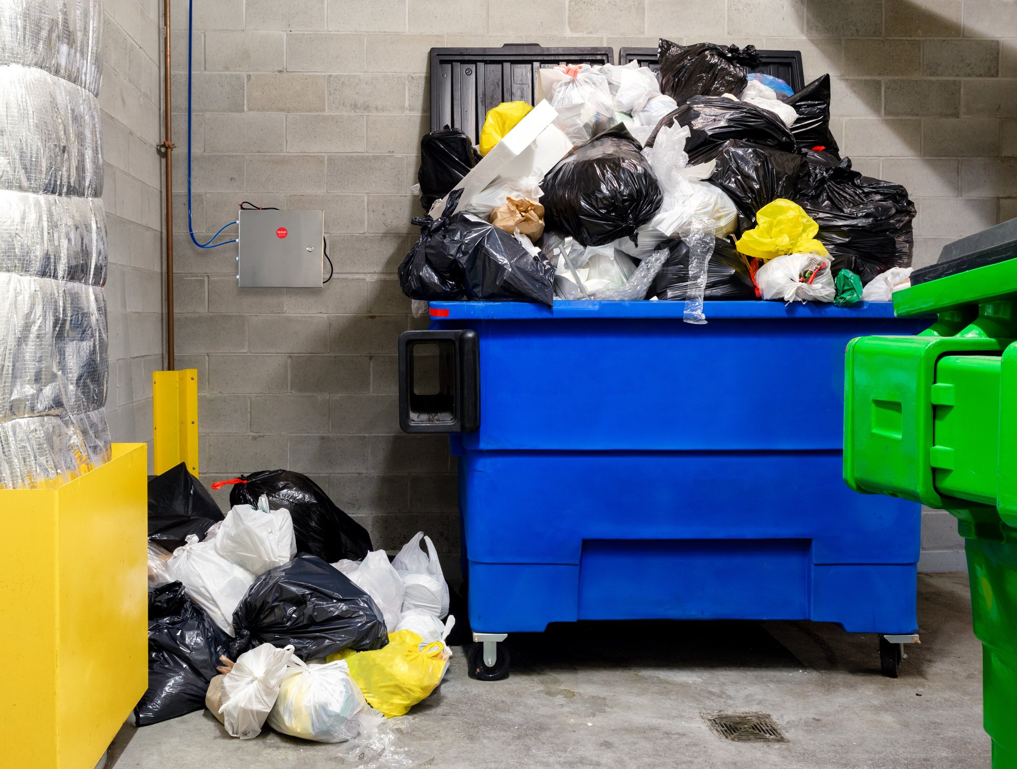 Odor---Dumpster-1357735937