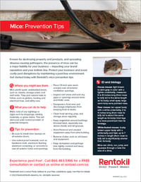 RTK-Mice-Tip-Sheet