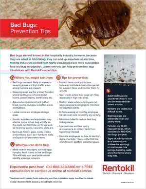 Rentokil's Bed Bug Prevention Tip Sheet