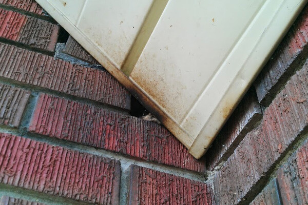 bat-grease-600x400 bat-grease-600x400